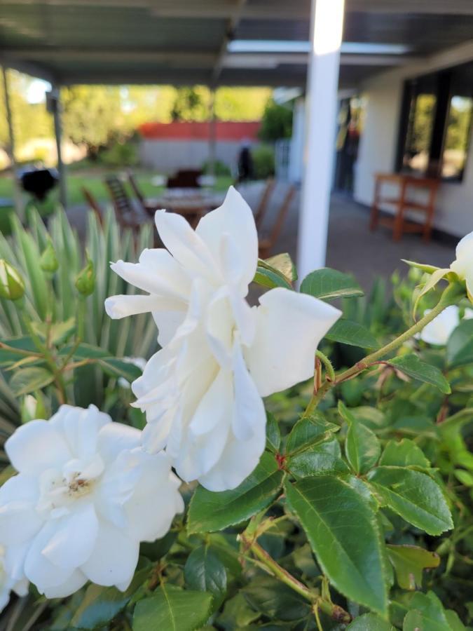 Ayana Bnb Bloemfontein Exterior foto